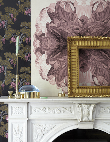 Claudia Bryant Interior Stylist and Designer